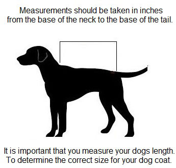 How to measure for dog coats